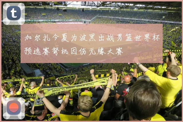 加尔扎今夏为波黑出战男篮世界杯预选赛弩机因伤无缘大赛