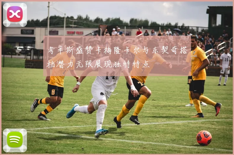 考辛斯盛赞卡梅隆卡尔与东契奇搭档潜力无限展现独特特点